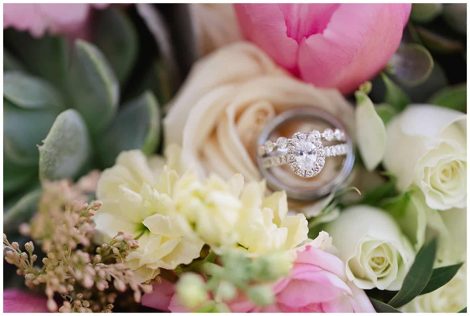 Cabo_wedding_Photographer_Sara_Richardson_Sunset_Modalisa_Wedding